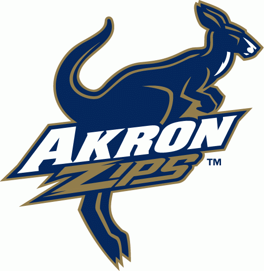 Akron Zips 2002-Pres Alternate Logo v2 iron on transfers for clothing